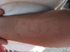 PLIZ 2010 055